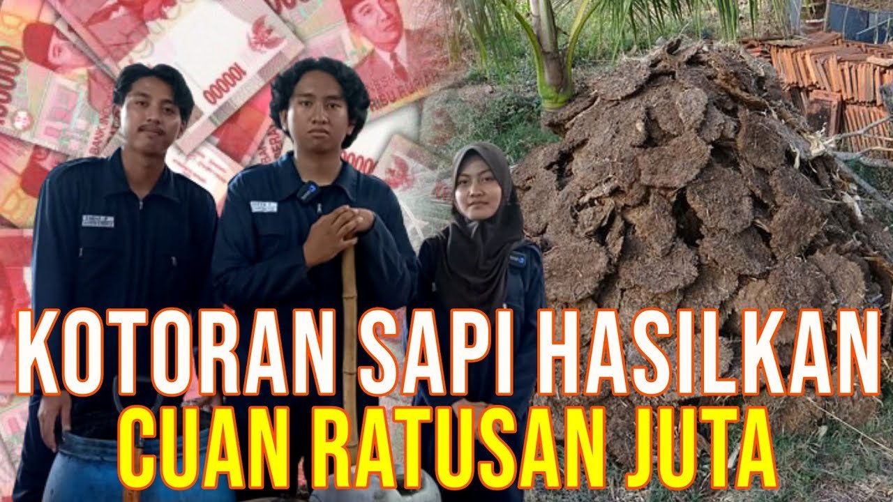 
                                 Mahasiswa-Peternakan-Membuat-Kompos-Limbah-Peternakan-Sapi